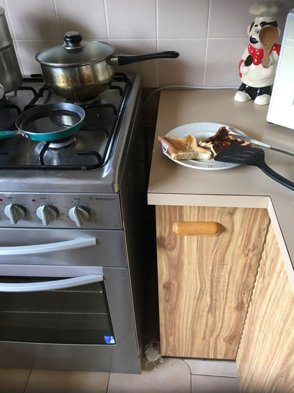 So Woke Up Early To Have Time For Breakfast. Look What's On The Ground By The Way