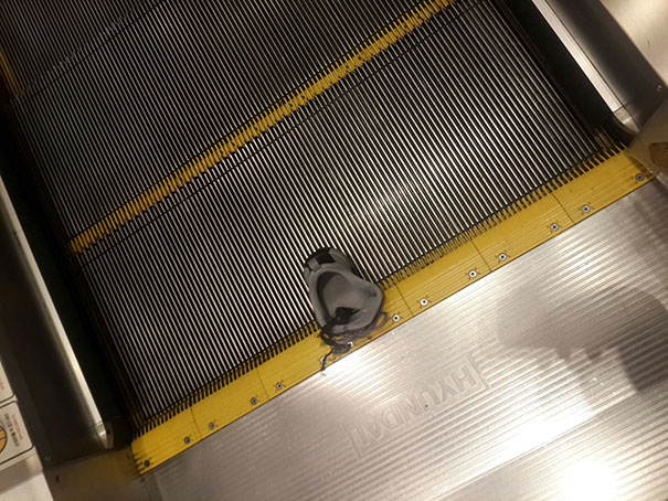 So This Happened To Me On An Escolator In Korea. One Of My Worst Fears Came True