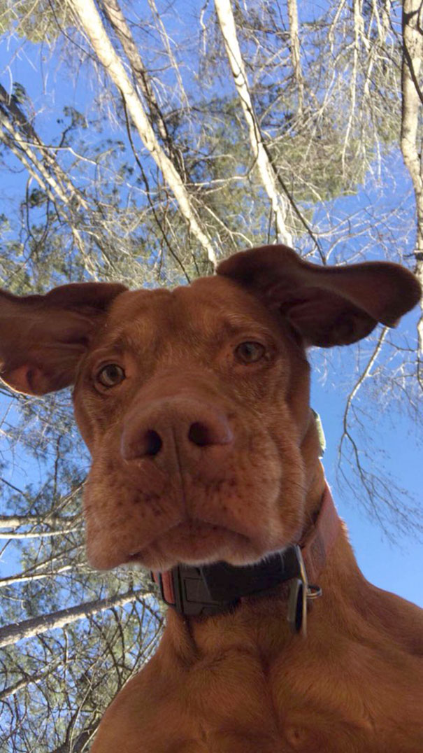 So I Left My Phone In The Yard While I Gathered Lacrosse Balls To Shoot, And I Find This Picture Taken When I Get Back