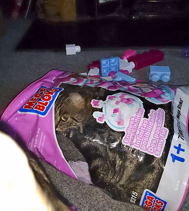 I Didn't Believe My Daughter When She Said She Couldn't Put Her Blocks Away