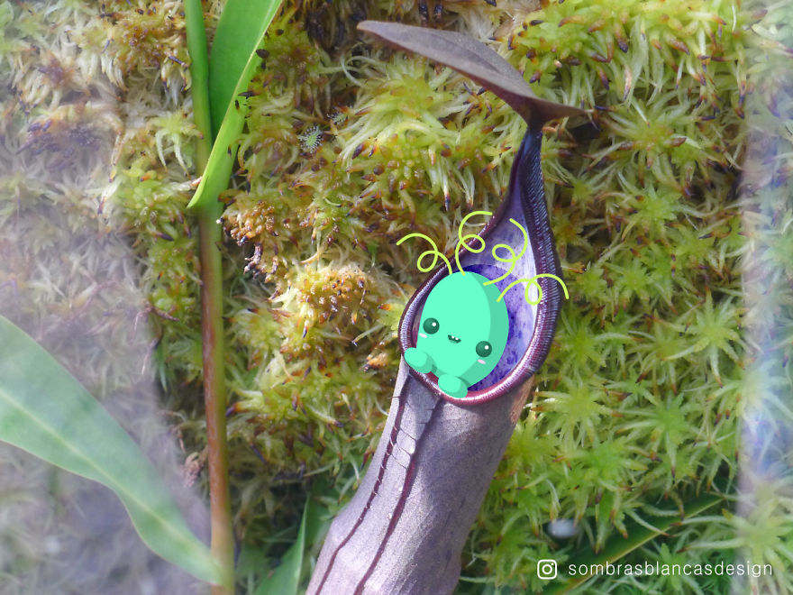 I Add Happy, Colorful Creatures To Everyday Life And Travel Photos