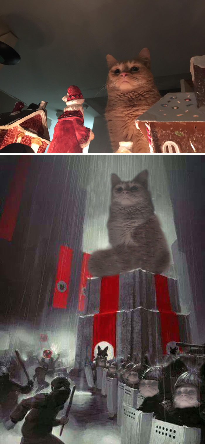 Cat Looking Over Christmas Scene