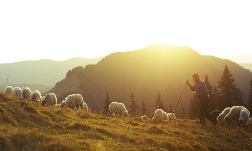 3 Lost Professions That The World Needs To Know More About 3 Lost Professions That The World Needs To Know More About