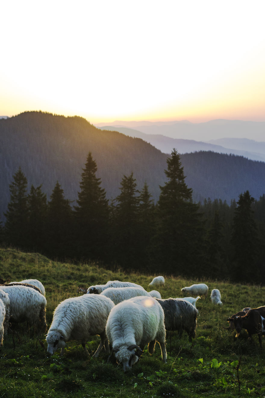 3 Lost Professions That The World Needs To Know More About 3 Lost Professions That The World Needs To Know More About