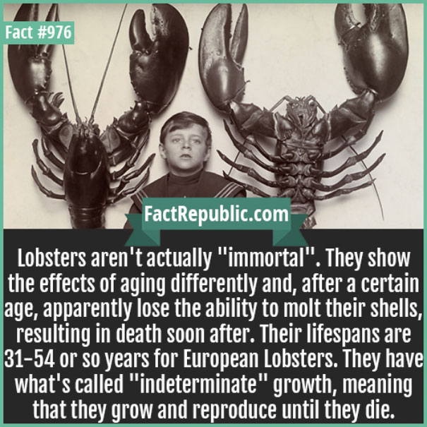 Rare-Everyday-Life-Facts-Republic