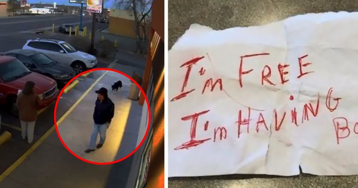 Man Dumps His Dog Near Dunkin’ Donuts With A Note Stuck To Her Collar That Will Break Your Heart