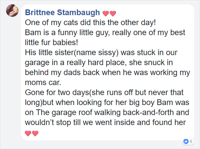 Family Thought They Lost Their Dog Until He Came Back With A Note That Will Melt Your Heart