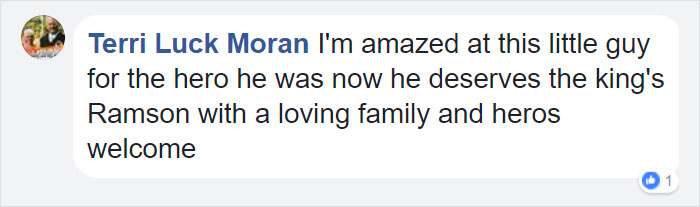 Family Thought They Lost Their Dog Until He Came Back With A Note That Will Melt Your Heart