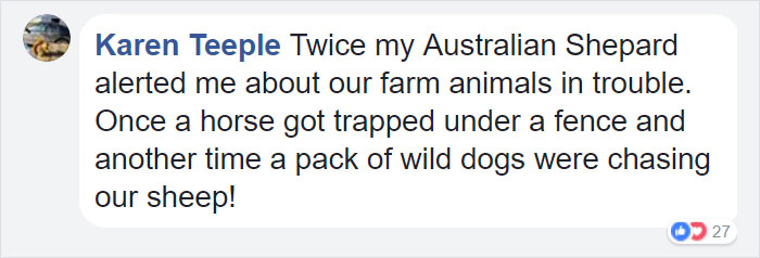Family Thought They Lost Their Dog Until He Came Back With A Note That Will Melt Your Heart