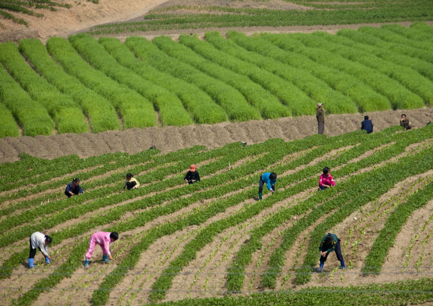 Children working on the field 