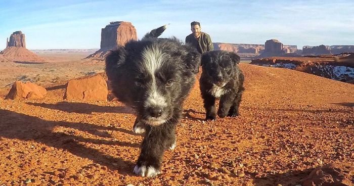 Man Finds Two Puppies Abandoned In The Middle Of The Desert, Takes Them On Epic 30,000-Mile Trip