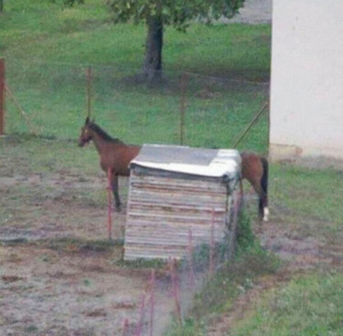 Hmmm
