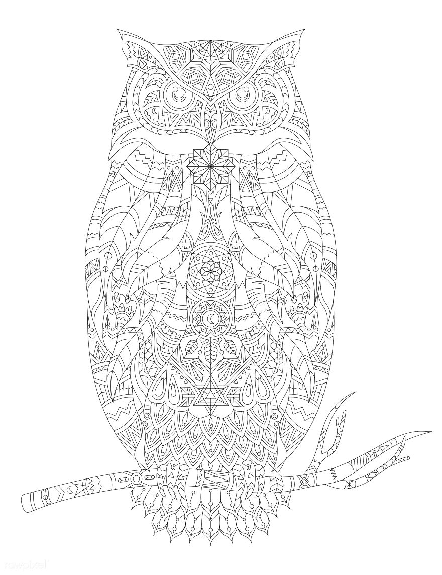 The Hardest And Extremely Detailed Adult Coloring Pages Are Here