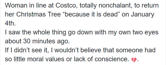 Woman Returns A Christmas Tree On January 4th Because "It's Dead," And The Shop's Response Will Infuriate You Woman Returns A Christmas Tree On January 4th Because "It's Dead," And The Shop's Response Will Infuriate You