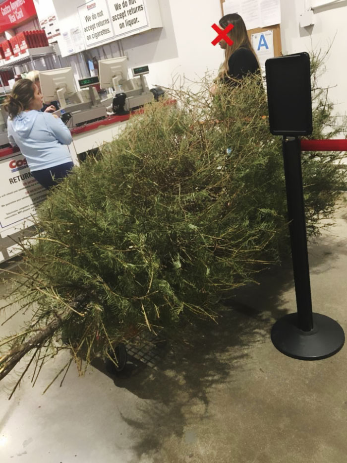 Woman Returns A Christmas Tree On January 4th Because "It's Dead," And The Shop's Response Will Infuriate You Woman Returns A Christmas Tree On January 4th Because "It's Dead," And The Shop's Response Will Infuriate You