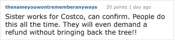 Woman Returns A Christmas Tree On January 4th Because "It's Dead," And The Shop's Response Will Infuriate You