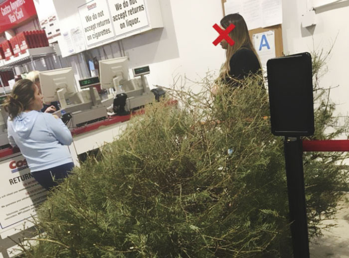Esta mujer devolvió un árbol de Navidad en Enero porque «estaba muerto», y la reacción de la tienda es más sorprendente aún
