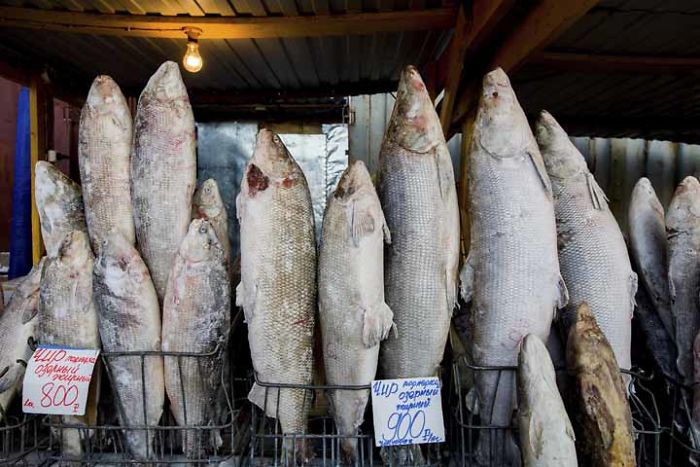 A Thermometer Just Broke At -62°C (-80°F) In The World's Coldest Village, And The Photos Are Breathtaking A Thermometer Just Broke At -62°C (-80°F) In The World's Coldest Village, And The Photos Are Breathtaking