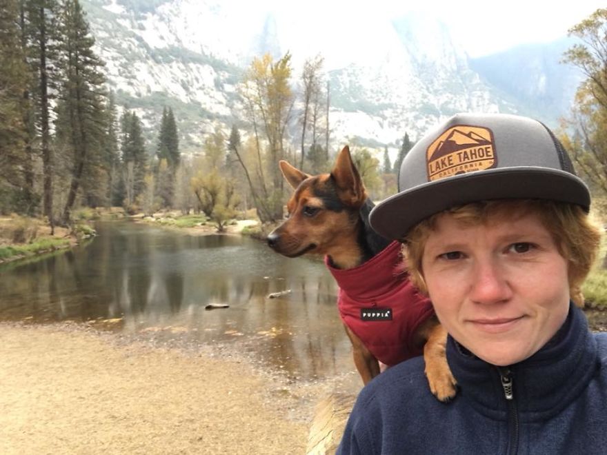 Dora Dog The Explorer Dora Dog The Explorer