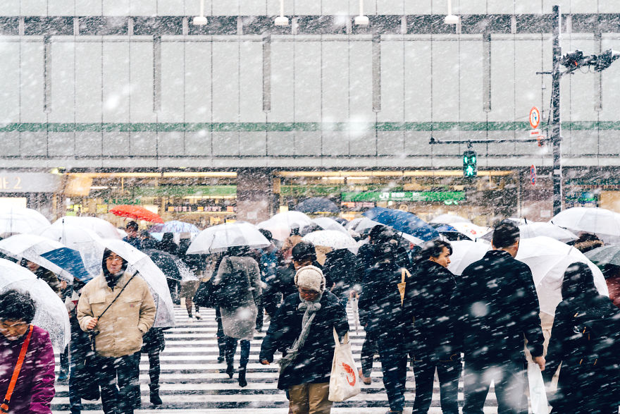 Snowy Shinjuku, Tokyo