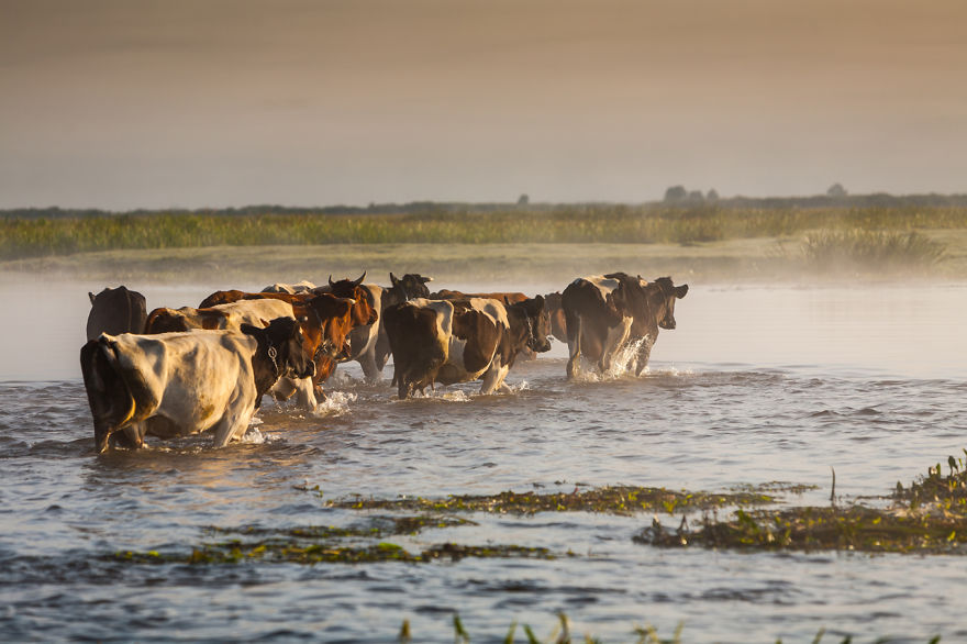 10 Years Travelling Across Poland To Catch The Most Beautiful Places