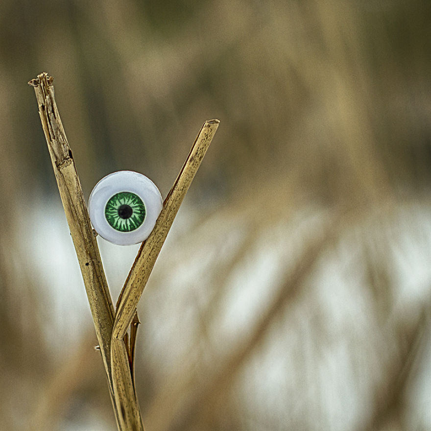 Look At Me - I Add Eyes To Everyday Objects