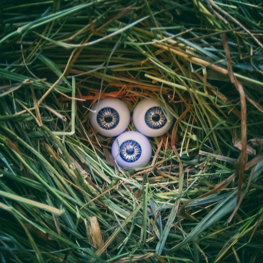 Look At Me - I Add Eyes To Everyday Objects