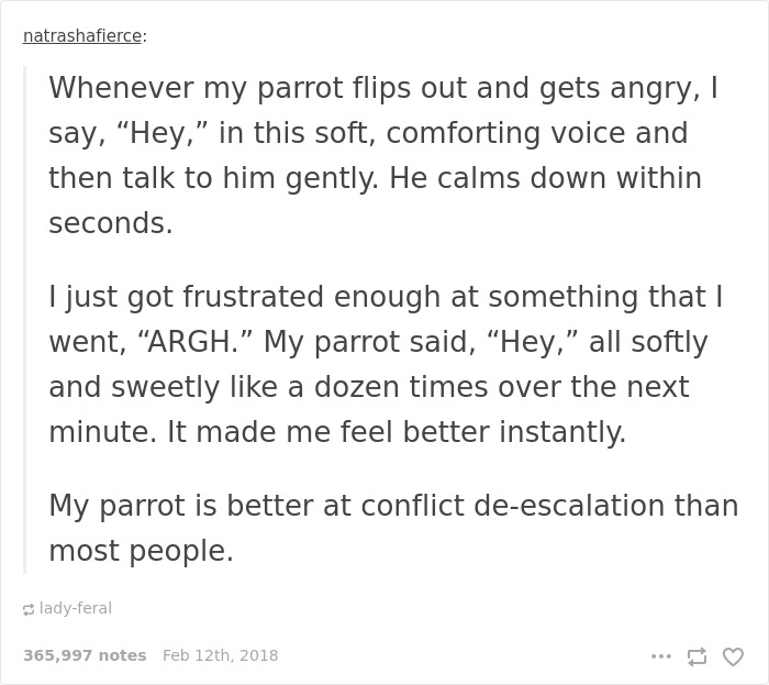 Sweet Parrot