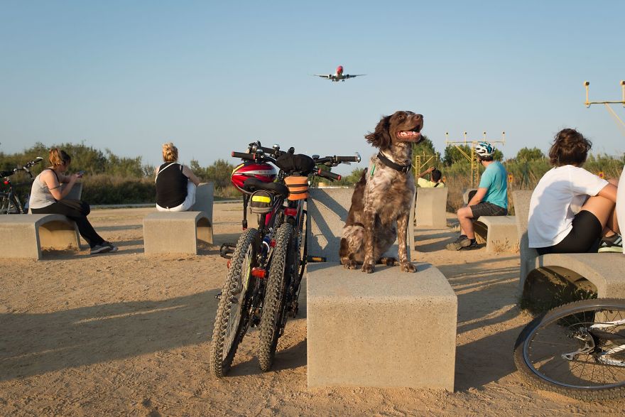I Photographed Plane Spotting Passion Around The World