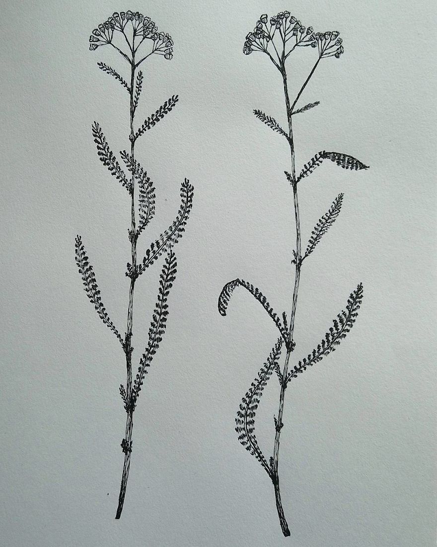 I Enjoy Drawing Ink Dots And Lines