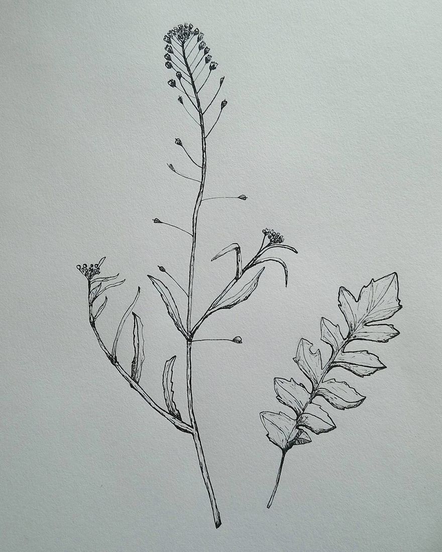 I Enjoy Drawing Ink Dots And Lines