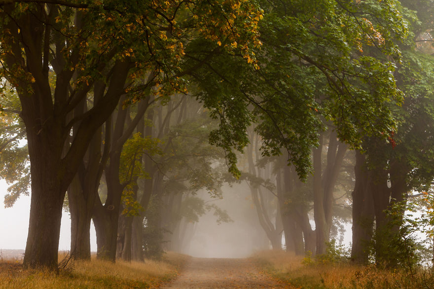 10 Years Travelling Across Poland To Catch The Most Beautiful Places