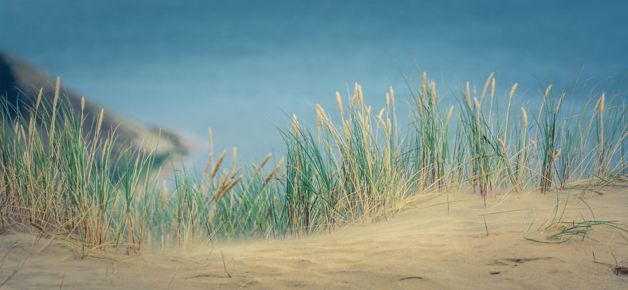 A Gem Of The Baltic Sea - Curonian Spit In Lithuania, Perfect Place For Connecting With Nature
