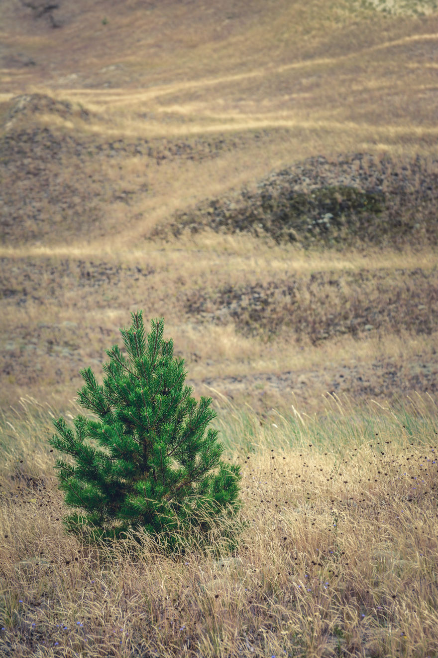 A Gem Of The Baltic Sea - Curonian Spit In Lithuania, Perfect Place For Connecting With Nature