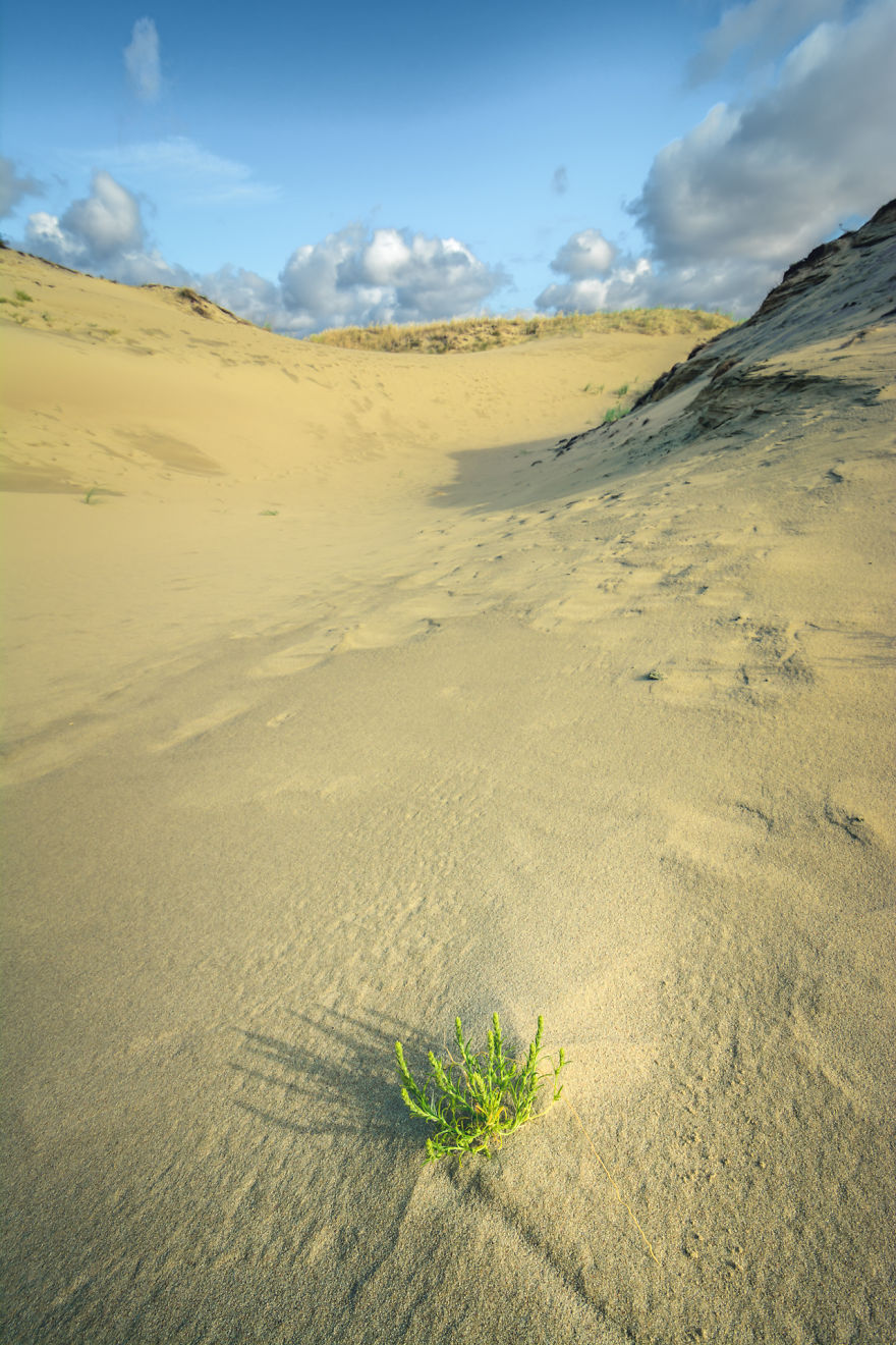 A Gem Of The Baltic Sea - Curonian Spit In Lithuania, Perfect Place For Connecting With Nature A Gem Of The Baltic Sea - Curonian Spit In Lithuania, Perfect Place For Connecting With Nature