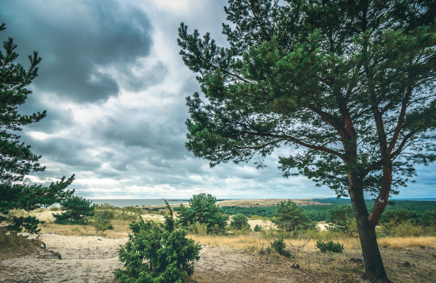 A Gem Of The Baltic Sea - Curonian Spit In Lithuania, Perfect Place For Connecting With Nature A Gem Of The Baltic Sea - Curonian Spit In Lithuania, Perfect Place For Connecting With Nature