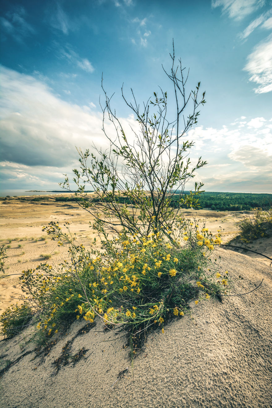 A Gem Of The Baltic Sea - Curonian Spit In Lithuania, Perfect Place For Connecting With Nature