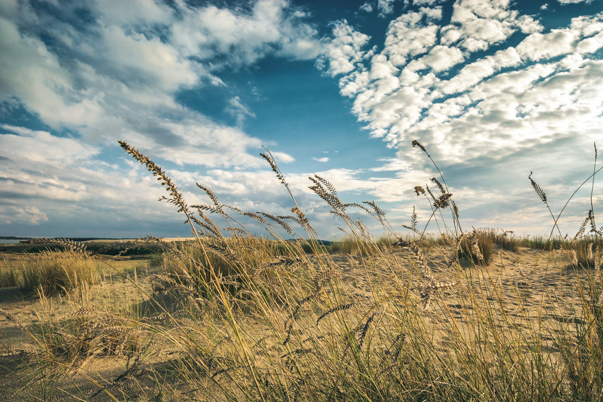 A Gem Of The Baltic Sea - Curonian Spit In Lithuania, Perfect Place For Connecting With Nature