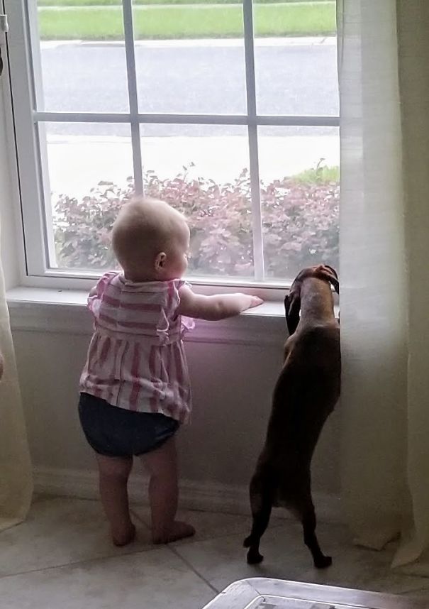 Waiting For The Ice Cream Man.