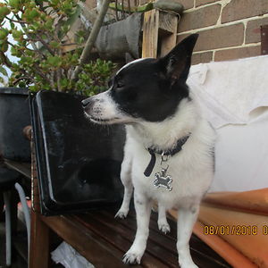 beatzgirlerica avatar