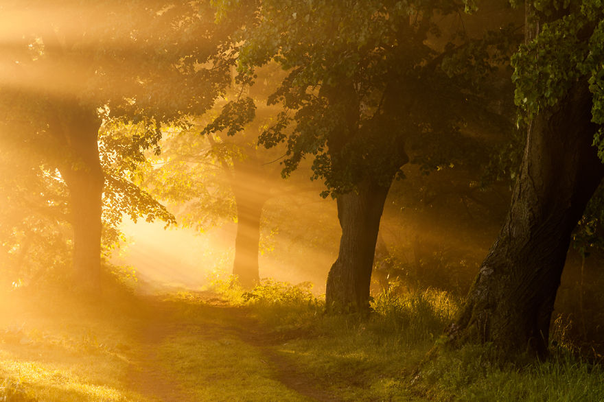 10 Years Travelling Across Poland To Catch The Most Beautiful Places