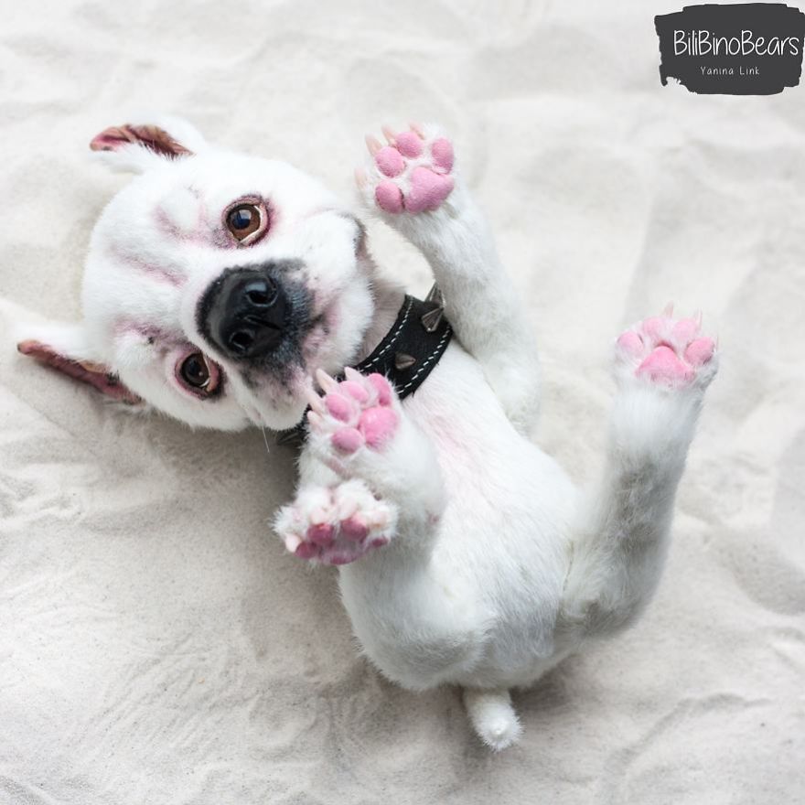 I Create Lifelike Soft Sculpture Of Plush And Fabrics