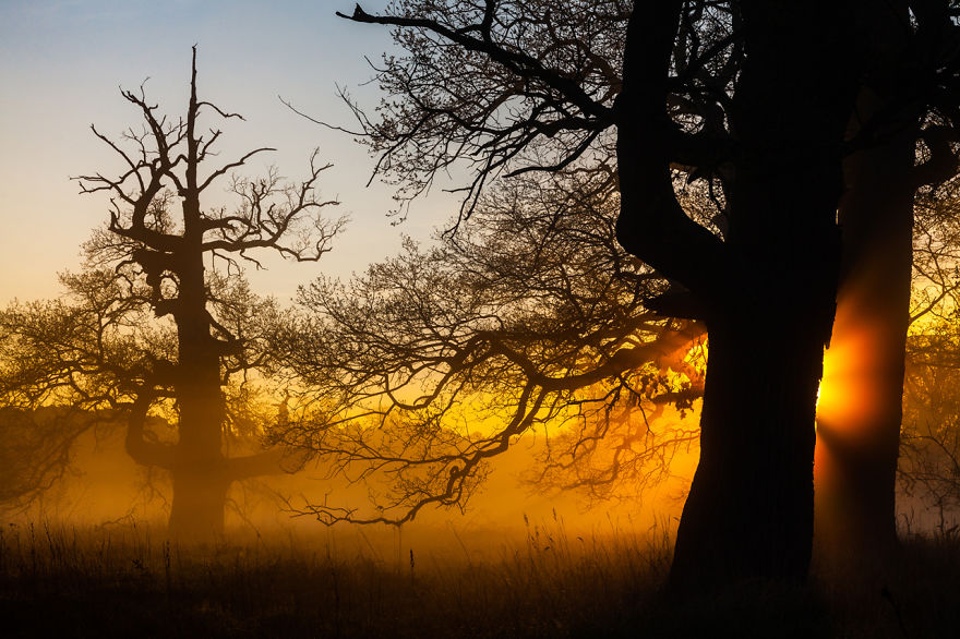 10 Years Travelling Across Poland To Catch The Most Beautiful Places