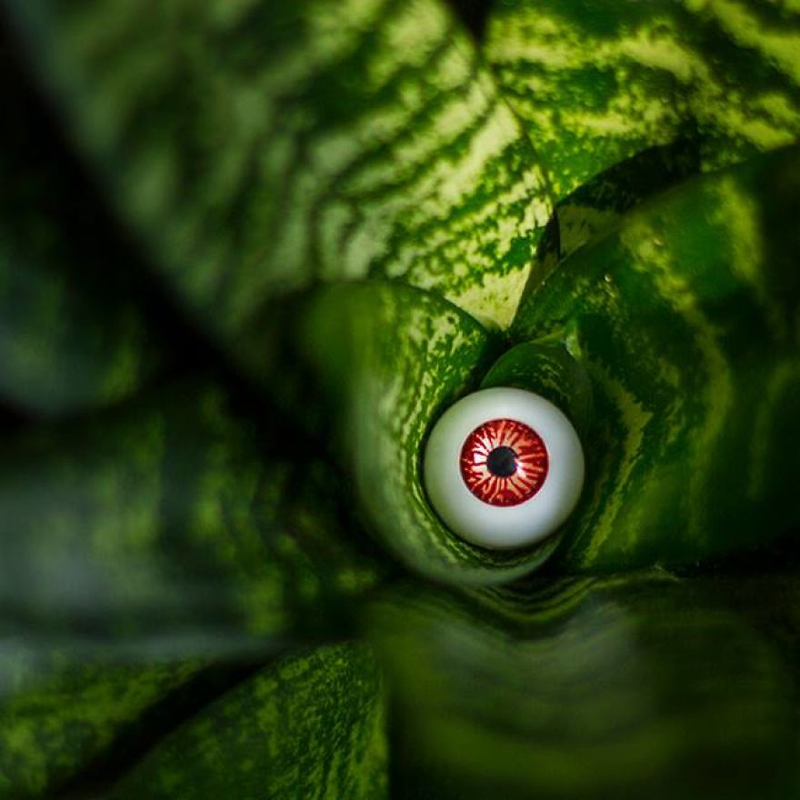 Look At Me - I Add Eyes To Everyday Objects