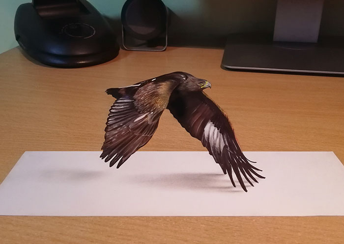 3D Drawings That I Create To Confuse People (Part 4)