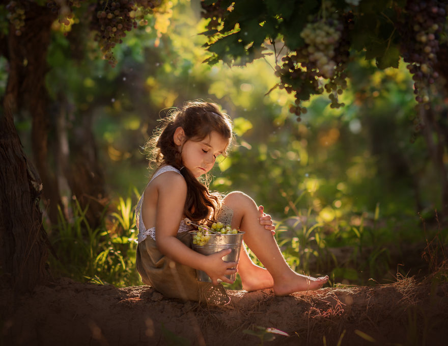 Images In A Vinyard, La Vendimia