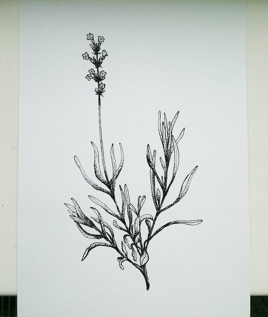 I Enjoy Drawing Ink Dots And Lines