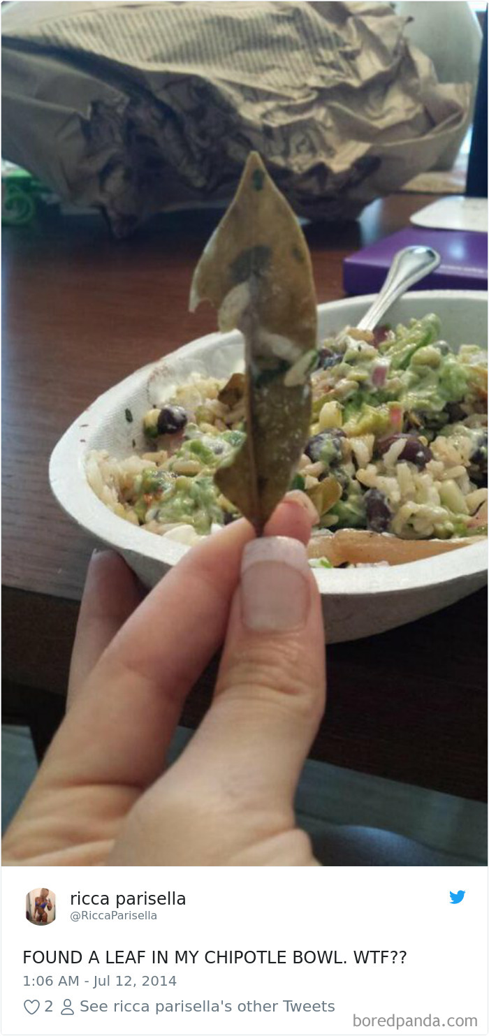 36 Times People Found Some Strange Leaves In Their Food, And Complained About It Online 36 Times People Found Some Strange Leaves In Their Food, And Complained About It Online
