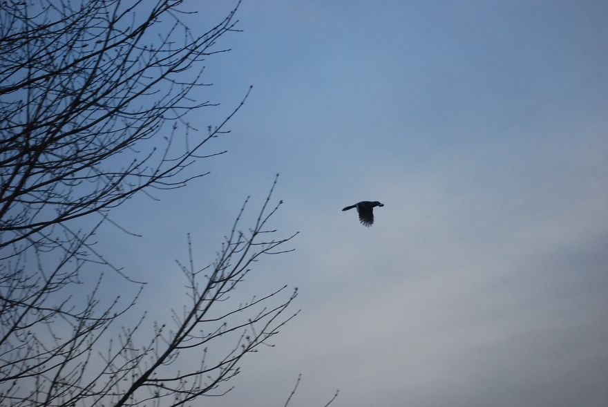 I Saved Up Money From Minimum Wage Jobs To Buy A Camera And Here Are My First Photos