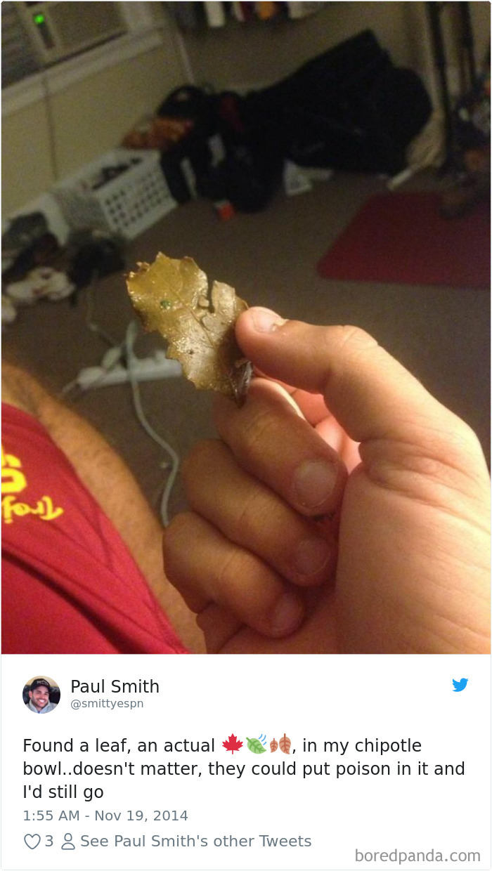 36 Times People Found Some Strange Leaves In Their Food, And Complained About It Online